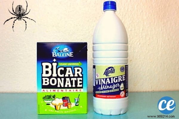 5 Time-Tested Grandma s Remedies to Relieve Insect Bites Naturally