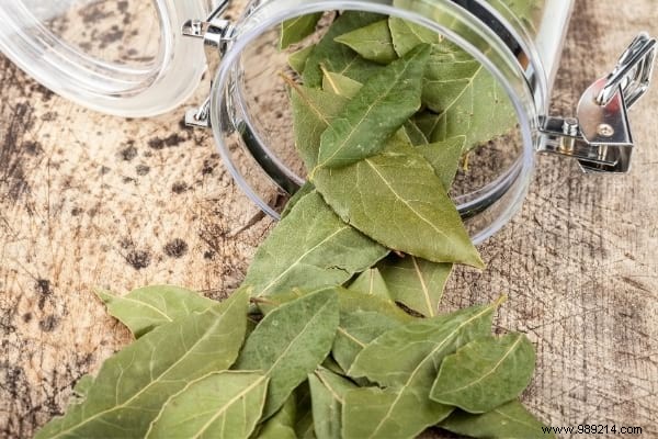 20 Natural Remedies to Repel Flies Without Chemicals or Insecticides