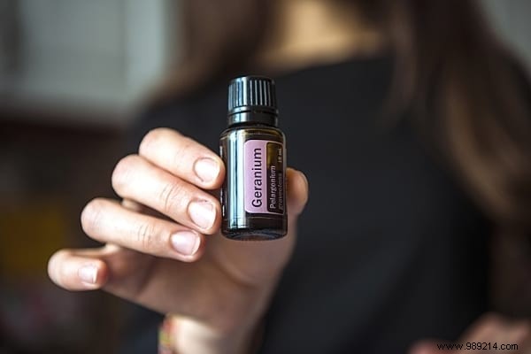 20 Natural Remedies to Repel Flies Without Chemicals or Insecticides