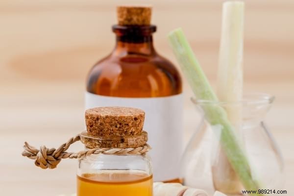 20 Natural Remedies to Repel Flies Without Chemicals or Insecticides