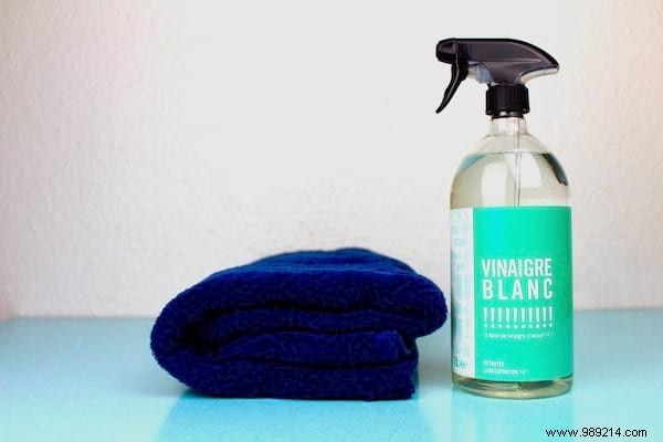 20 Natural Remedies to Repel Flies Without Chemicals or Insecticides