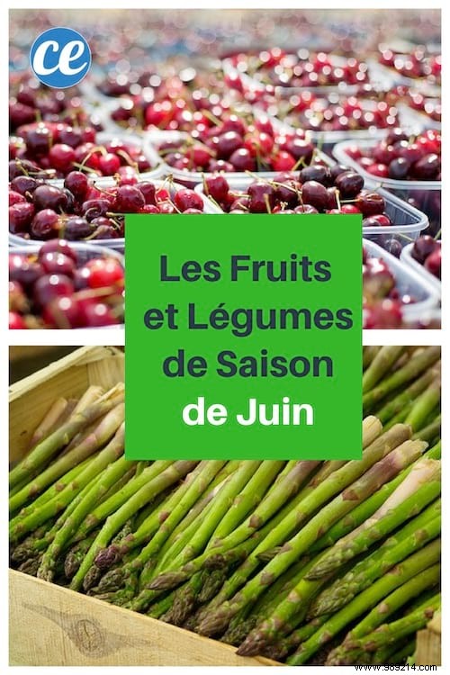 June s Top Seasonal Fruits and Vegetables: Fresh, Affordable Summer Picks