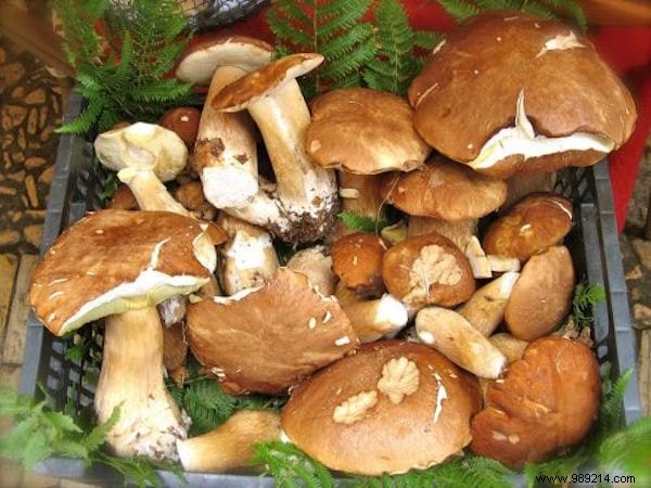 Save on October Fruits and Vegetables: Choose Seasonal Produce for 10-20% Savings