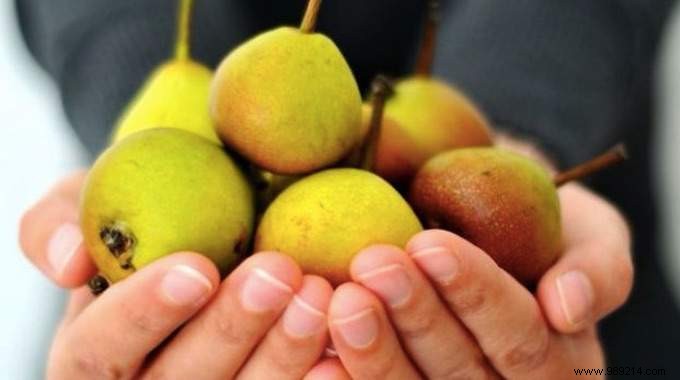 September s Seasonal Fruits and Vegetables: Save Big on Your Grocery Bill