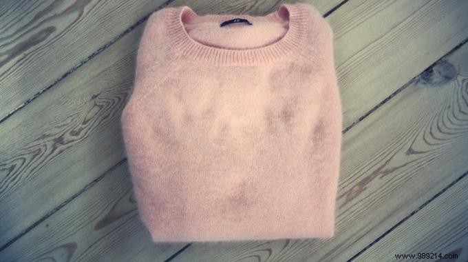 Expert Tip: Stop Angora Wool Shedding with This Simple Freezer Hack