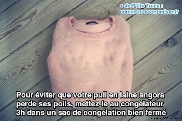 Expert Tip: Stop Angora Wool Shedding with This Simple Freezer Hack