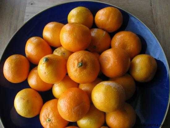 January Seasonal Fruits and Vegetables: Eat Healthier, Save Money