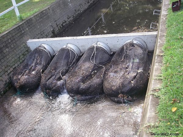 Australia s Ingenious Anti-Plastic Waste Solution: Nets Capturing 360kg in Weeks – A Blueprint for Worldwide Adoption