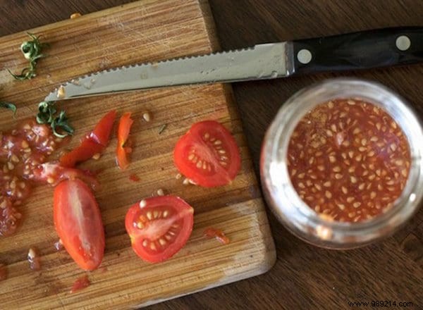 11 Fruits and Vegetables to Buy Once and Grow Forever: Proven Regrowing Guide