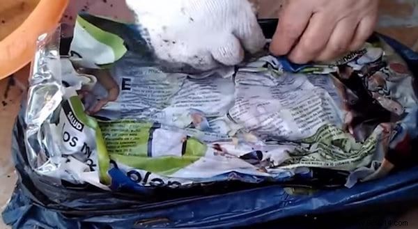 11 Fruits and Vegetables to Buy Once and Grow Forever: Proven Regrowing Guide