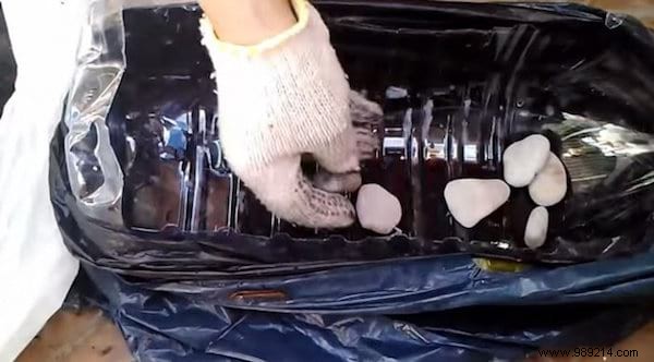 11 Fruits and Vegetables to Buy Once and Grow Forever: Proven Regrowing Guide