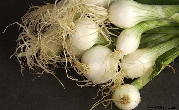 11 Fruits and Vegetables to Buy Once and Grow Forever: Proven Regrowing Guide