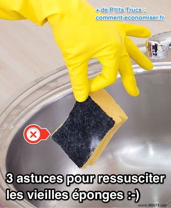 3 Proven Methods to Revive Dirty Sponges and Extend Their Lifespan – Save Money Effortlessly