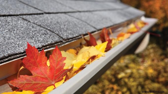 Stop Clearing Leaves from Gutters: Easy Gutter Guard Installation Guide