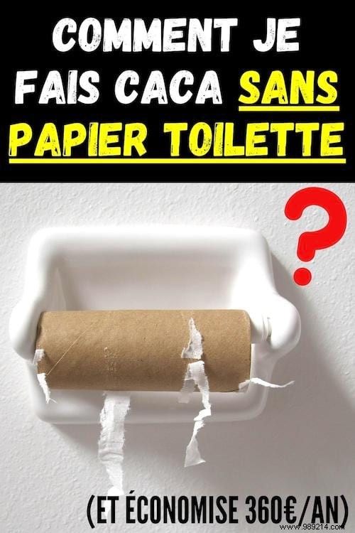 7 Zero-Waste Toilet Paper Alternatives: Save €360/Year and Reduce Environmental Impact