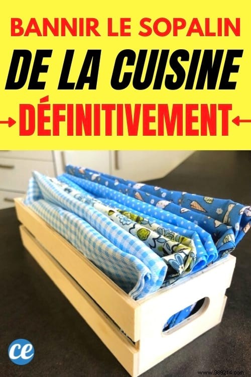 5 Proven Tips to Ditch Paper Towels and Create a Paper-Free Kitchen