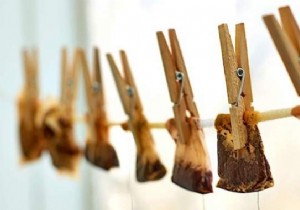 Can You Reuse Tea Bags Multiple Times? Expert Guide by Tea Type