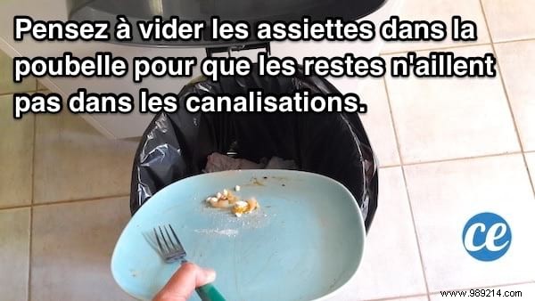 Prevent Clogged Sink Drains: Always Empty Plates Before Washing