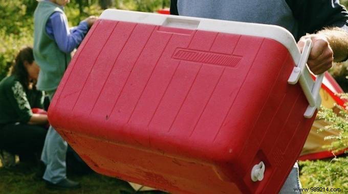 Effortless White Vinegar Trick to Restore a Moldy Cooler Box