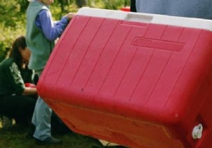 Effortless White Vinegar Trick to Restore a Moldy Cooler Box
