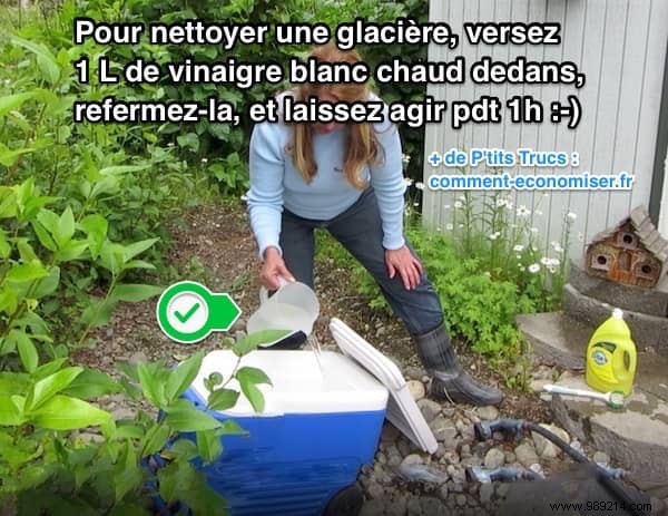 Effortless White Vinegar Trick to Restore a Moldy Cooler Box