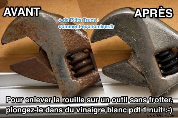 Revive Rusty Tools: Proven White Vinegar Method to Dissolve Rust Overnight