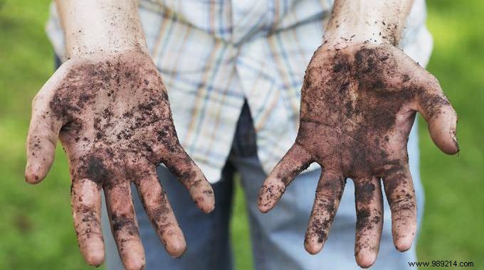 Clean Tough Dirt from Hands with Baking Soda: A Simple, Proven Trick