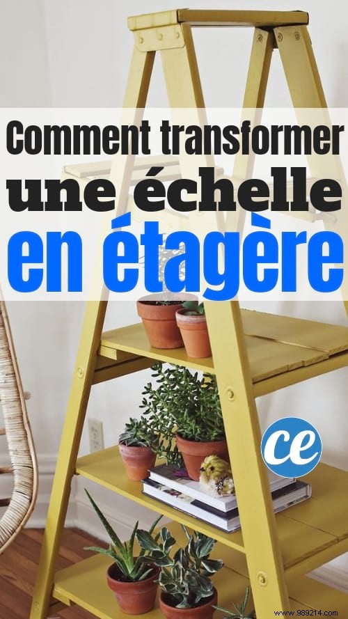 Transform Your Old Double Ladder into a Stylish DIY Shelf: Easy Upcycling Guide