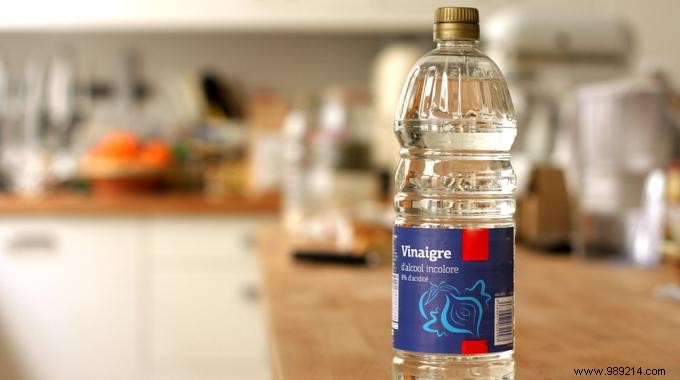 8 Proven White Vinegar Remedies for Everyday Ailments – My Real-Life Experience