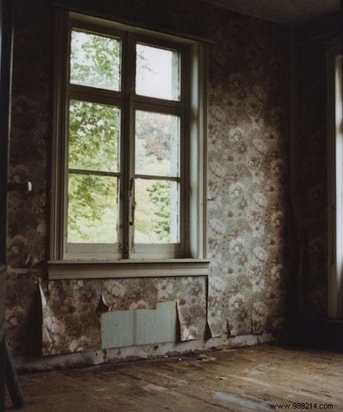 Erase Grease Stains from Wallpaper in Seconds Using Breadcrumbs – A Proven Home Hack