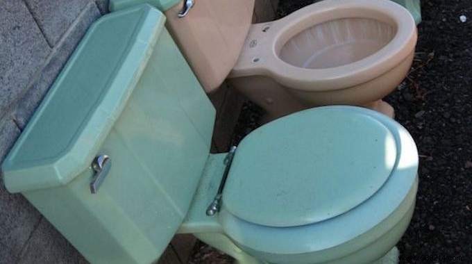 Effortlessly Remove Toilet Limescale with Oyster Shells: A Proven Natural Trick