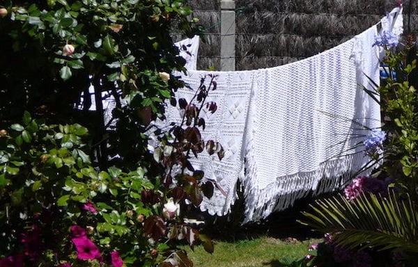 8 Proven Natural Remedies for Removing Stubborn Everyday Stains