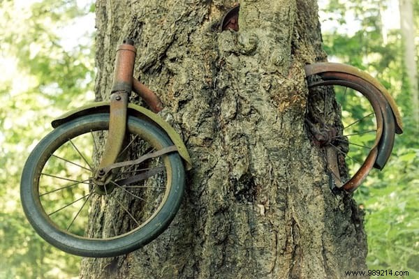 8 Proven Natural Remedies for Removing Stubborn Everyday Stains