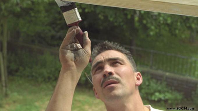 Proven Onion Hack: Protect Windows from Paint Splatter Without Tape