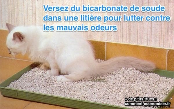 Eliminate Cat Litter Odors Naturally with Baking Soda