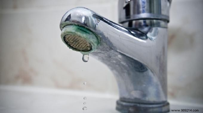 2 Proven Natural Limescale Removers: White Vinegar and Lemon to Save Money