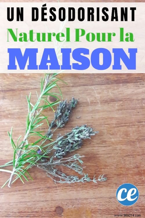 Grandma s Proven Natural Air Freshener: Simple DIY with Thyme and Lavender