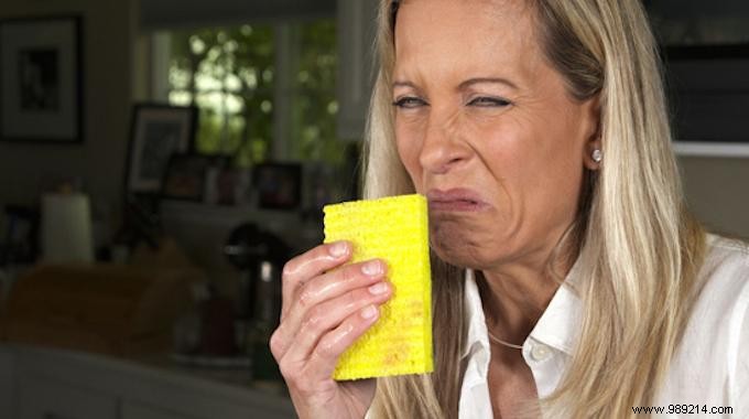 Banish Kitchen Sponge Odors: Proven Clipboard Drying Trick