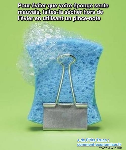 Banish Kitchen Sponge Odors: Proven Clipboard Drying Trick