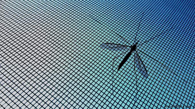 Easy DIY Window Mosquito Net: Simple Steps to Keep Bugs Out All Summer