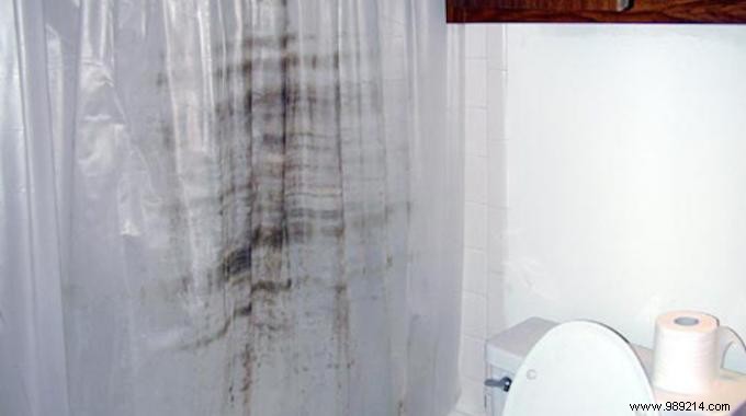 How to Remove Mold from Your Plastic Shower Curtain: Proven White Vinegar Method