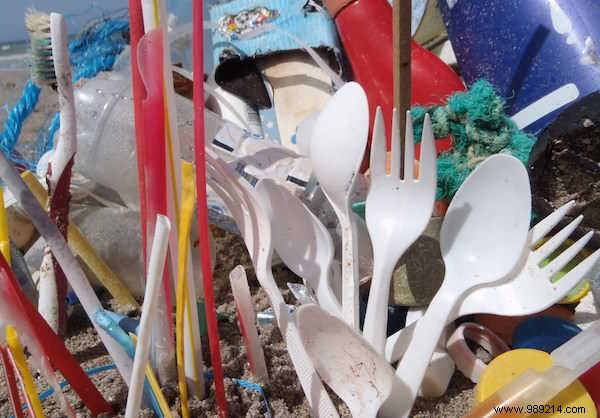 16 Proven, Everyday Strategies to Slash Your Plastic Waste