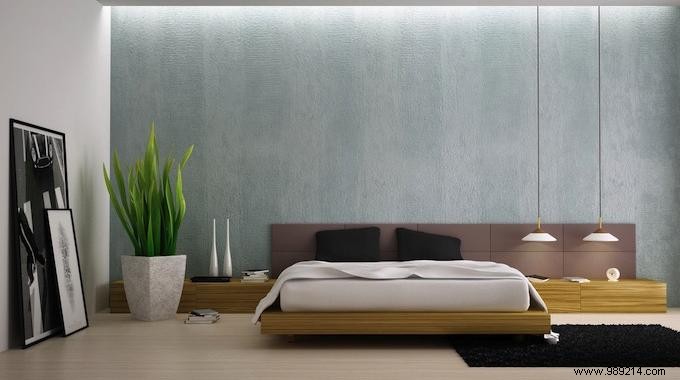 Purify Bedroom Air Naturally: Why Snake Plant (Mother-in-Law s Tongue) Improves Sleep