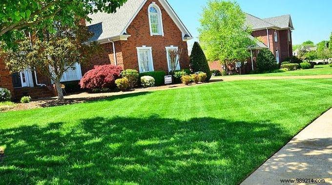 Achieve a Lush Green Lawn with White Meudon: A Proven Natural Trick