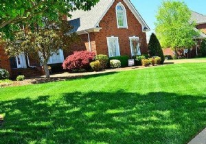 Achieve a Lush Green Lawn with White Meudon: A Proven Natural Trick