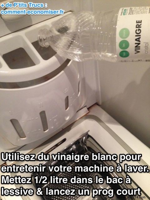 How to Maintain Your Washing Machine with White Vinegar: Proven Cleaning Tips