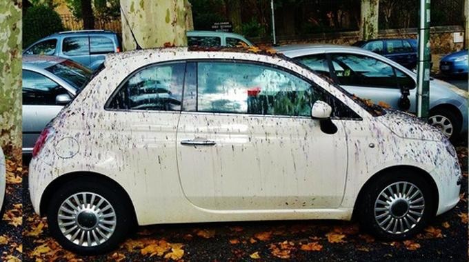 Proven Baking Soda Method to Remove Stubborn Tree Sap and Resin from Car Bodywork