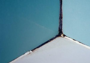 7 Proven Natural Tricks to Eliminate Mold from Your Home Safely