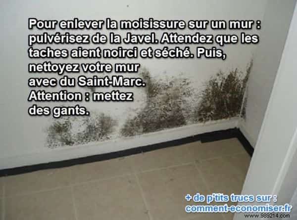 7 Proven Natural Tricks to Eliminate Mold from Your Home Safely