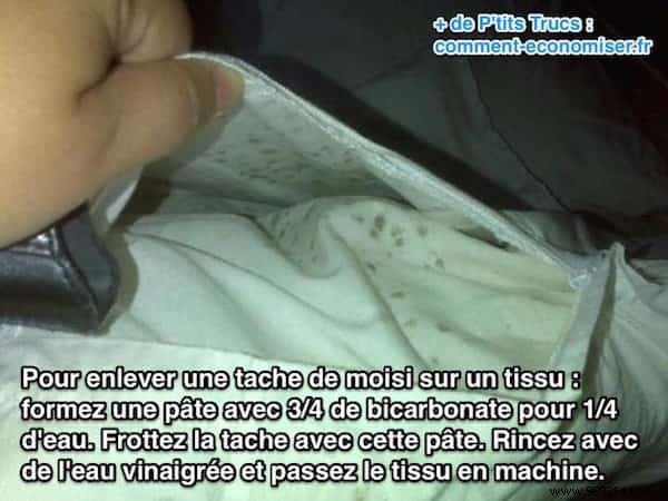 7 Proven Natural Tricks to Eliminate Mold from Your Home Safely